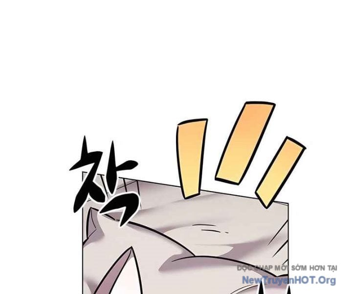 Hóa Thân Thành Mèo Chap 370 - Next Chap 371