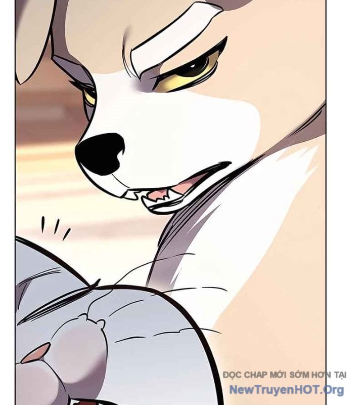 Hóa Thân Thành Mèo Chap 370 - Next Chap 371