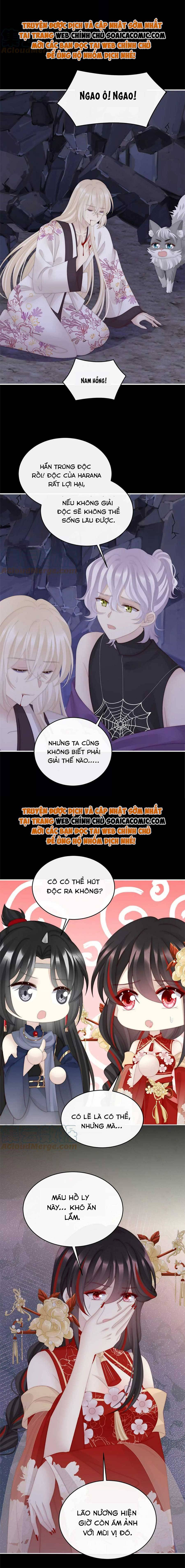 Huyết Tộc Hồi Sinh: Thê Chủ, Thỉnh Hưởng Dụng Chap 81 - Next Chap 82