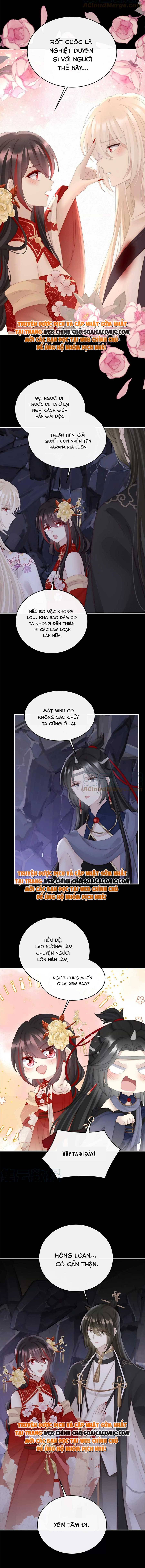 Huyết Tộc Hồi Sinh: Thê Chủ, Thỉnh Hưởng Dụng Chap 81 - Next Chap 82