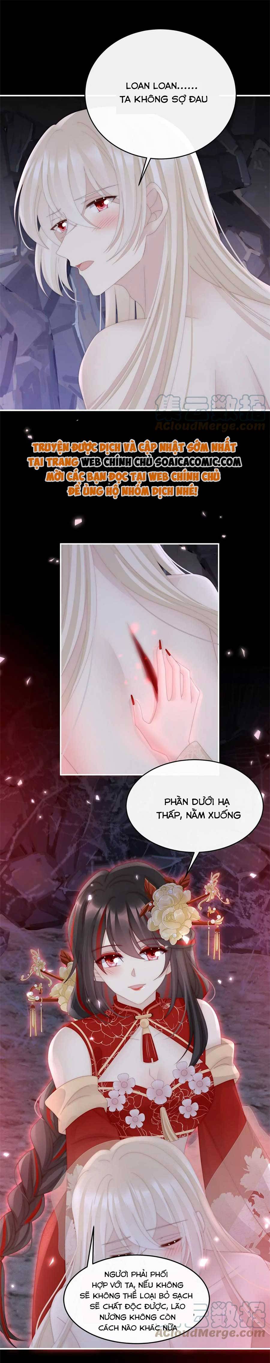 Huyết Tộc Hồi Sinh: Thê Chủ, Thỉnh Hưởng Dụng Chap 82 - Next Chap 83