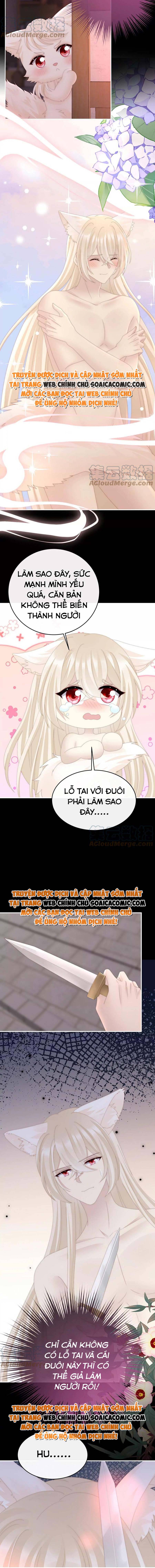 Huyết Tộc Hồi Sinh: Thê Chủ, Thỉnh Hưởng Dụng Chap 83 - Next Chap 84