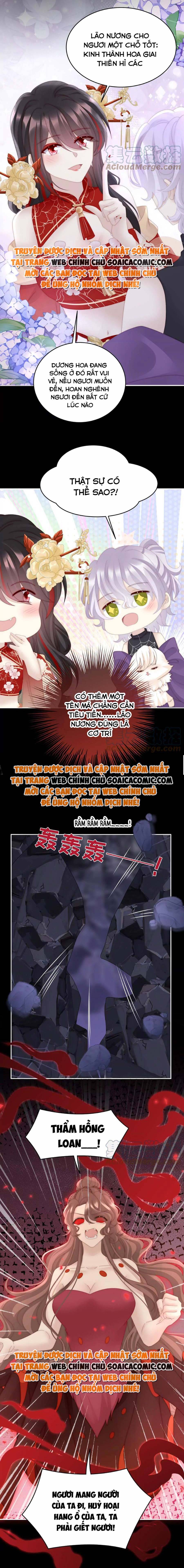 Huyết Tộc Hồi Sinh: Thê Chủ, Thỉnh Hưởng Dụng Chap 84 - Next Chap 85