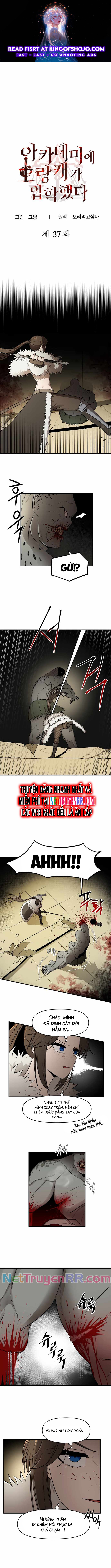 Kẻ man rợ bước vào học viện danh giá Chap 37 - Next Chap 38