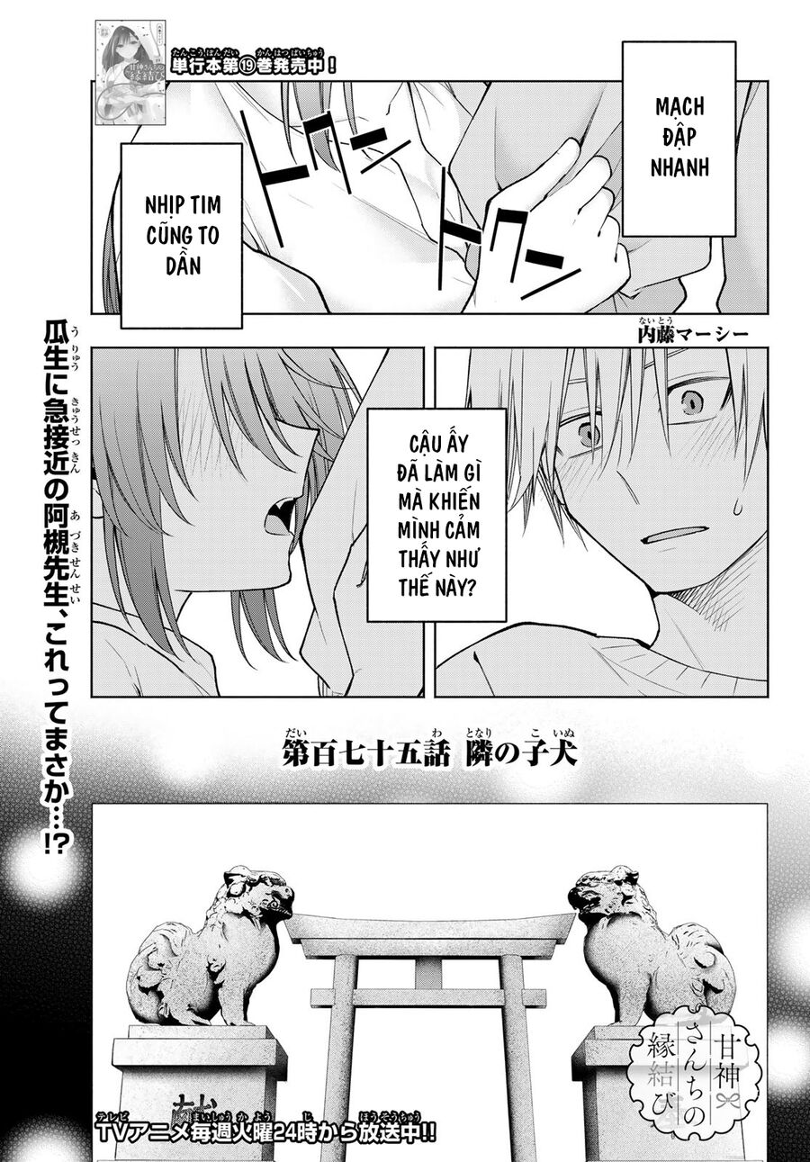 Kết Duyên Nhà Kamigami Chap 175 - Next Chap 176