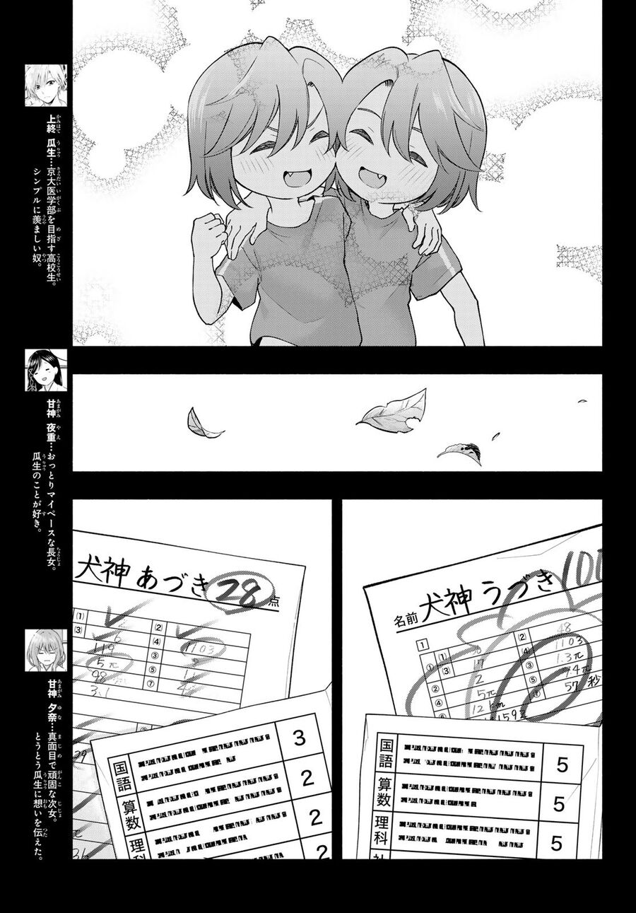 Kết Duyên Nhà Kamigami Chap 175 - Next Chap 176