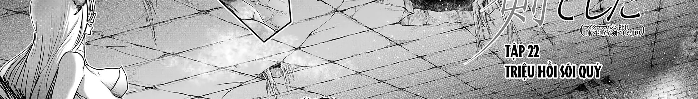 Khi Tôi Chuyển Sinh Thành Một Thanh Kiếm Chap 22 - Next Chap 23