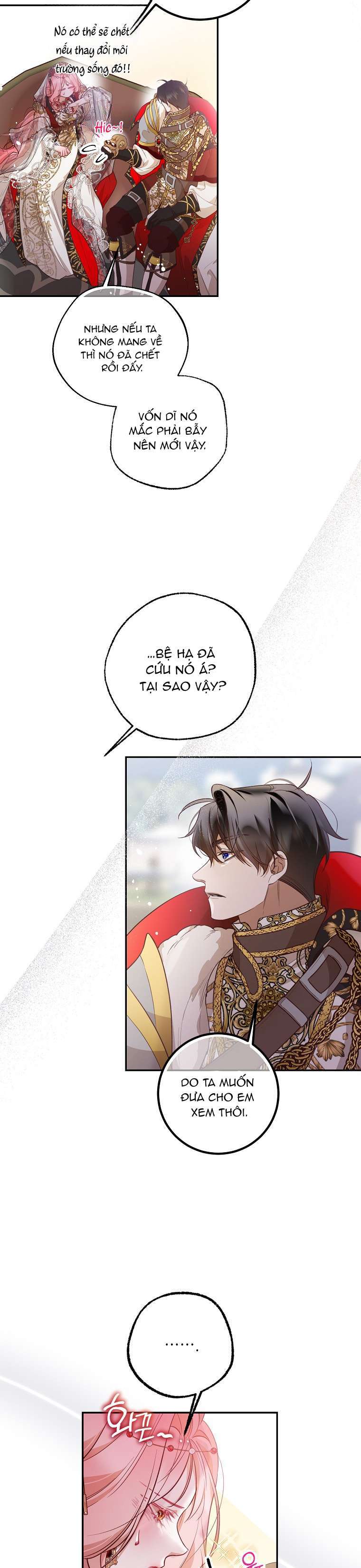 Khi Trái Tim Dẫn Lối Đôi Ta Chap 34 - Next Chap 35