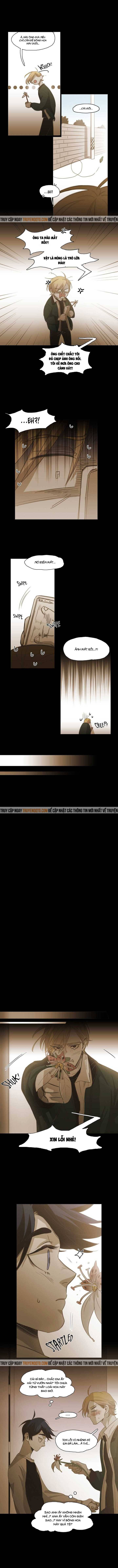 Không Bao Giờ Hiểu Chap 84 - Next Chap 85