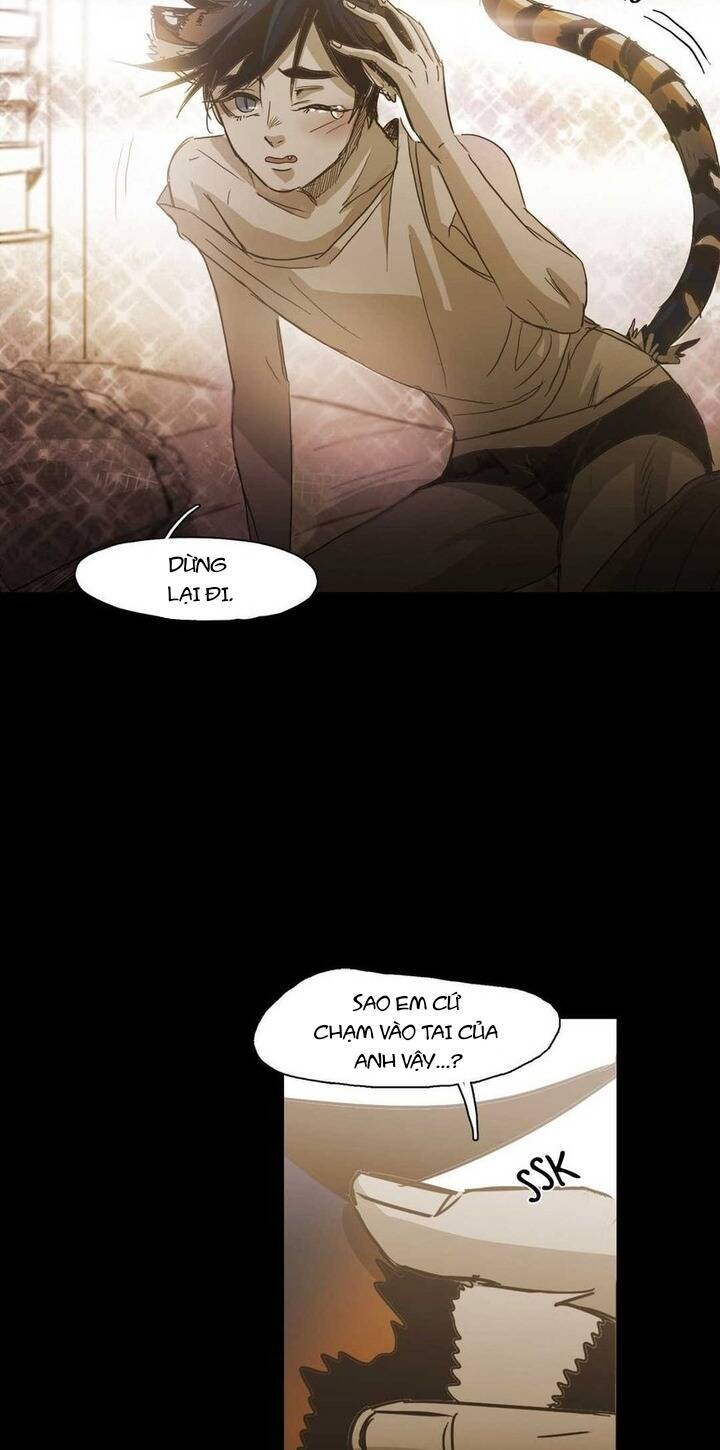 Không Bao Giờ Hiểu Chap 85 - Next Chap 86