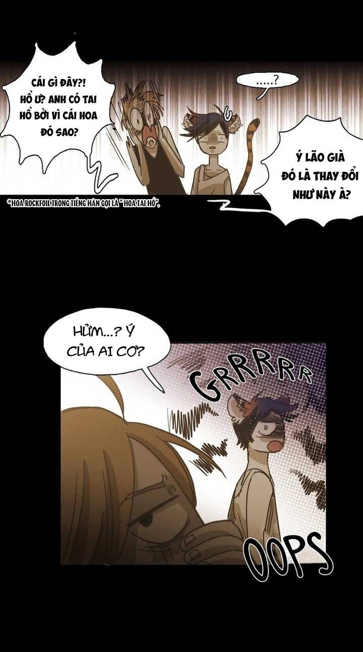 Không Bao Giờ Hiểu Chap 85 - Next Chap 86