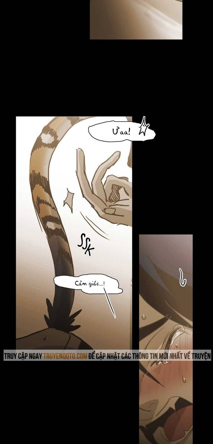 Không Bao Giờ Hiểu Chap 85 - Next Chap 86