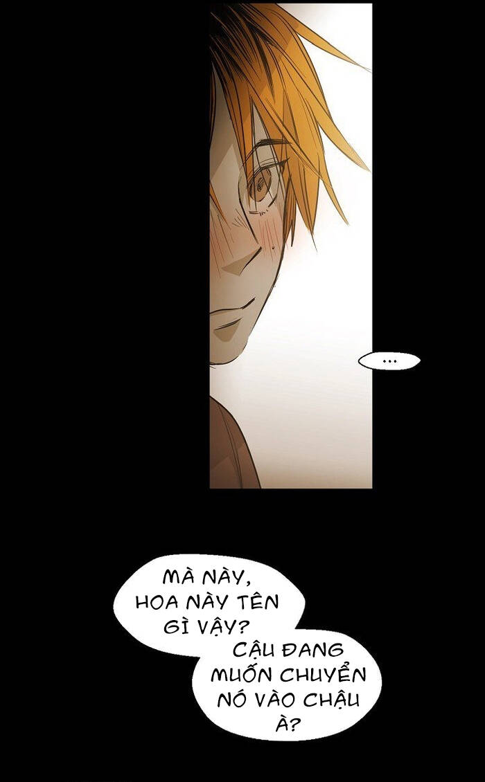 Không Bao Giờ Hiểu Chap 87 - Next Chap 88