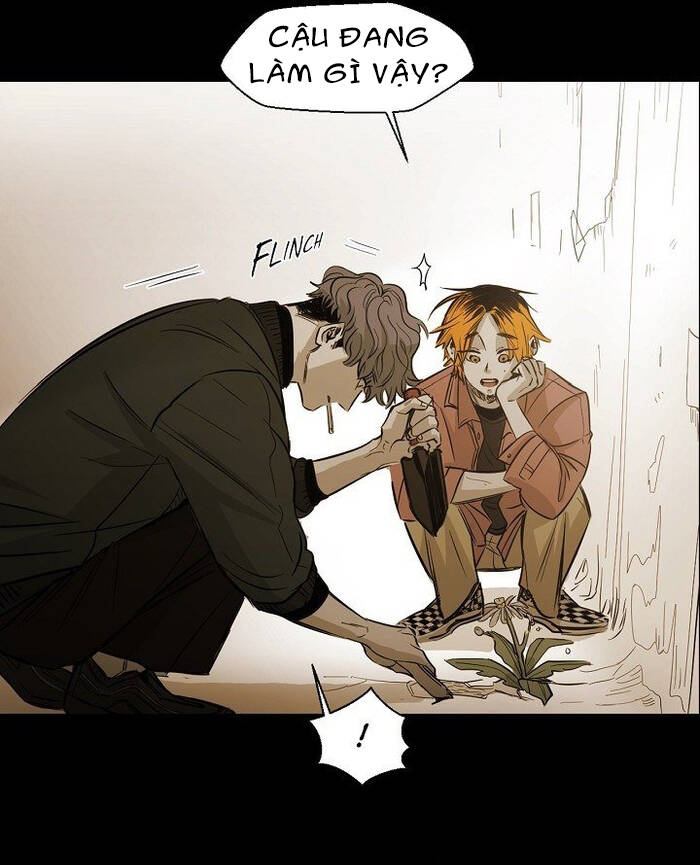 Không Bao Giờ Hiểu Chap 87 - Next Chap 88