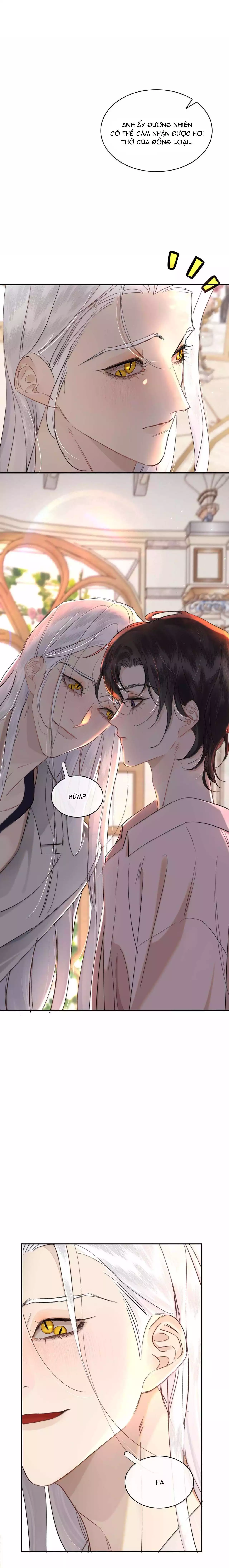 Không Thể Cưỡng Lại Người Yêu Dính Người Chap 79 - Next Chap 80