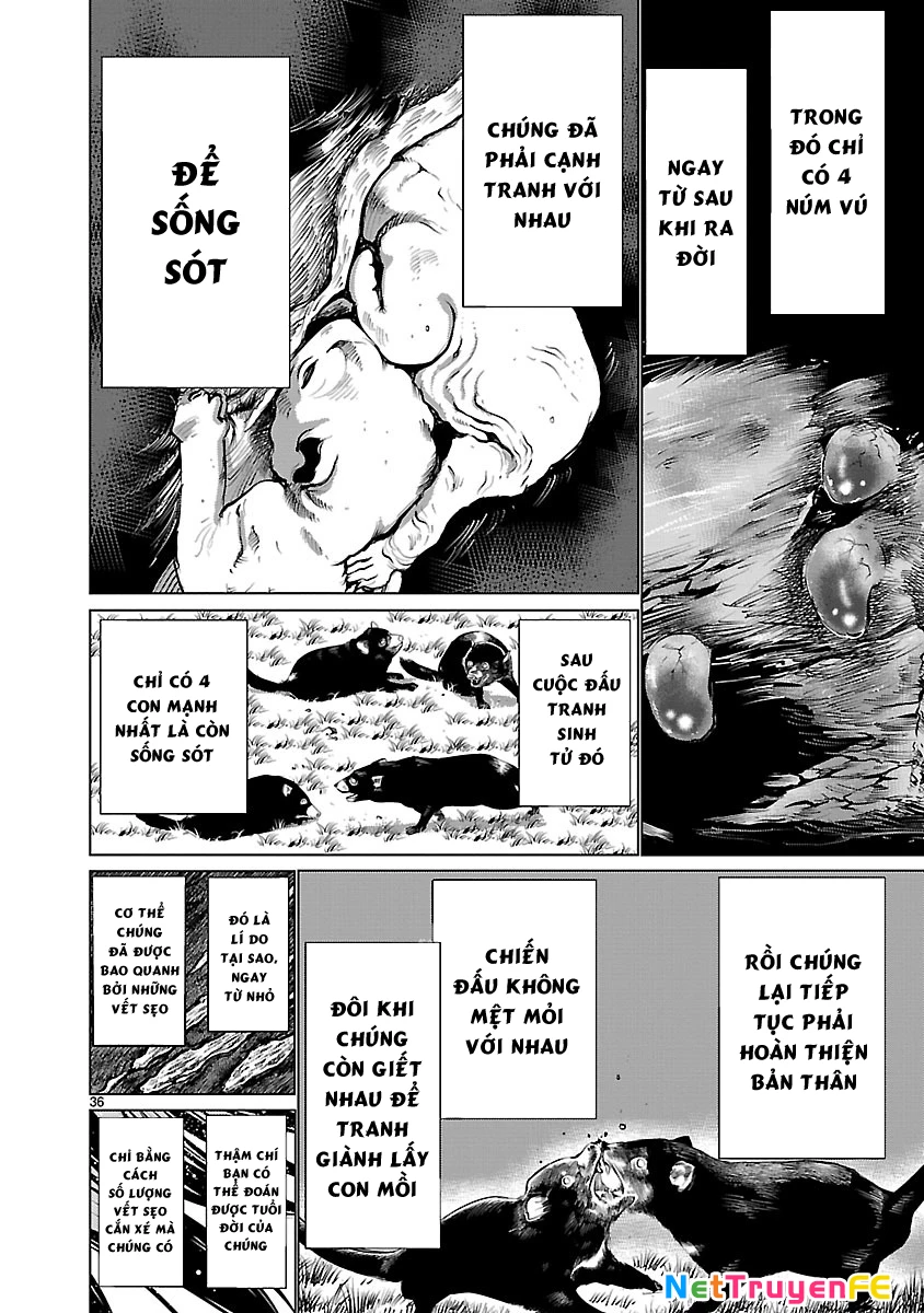 Killing Bites Chap 36 - Next Chap 37