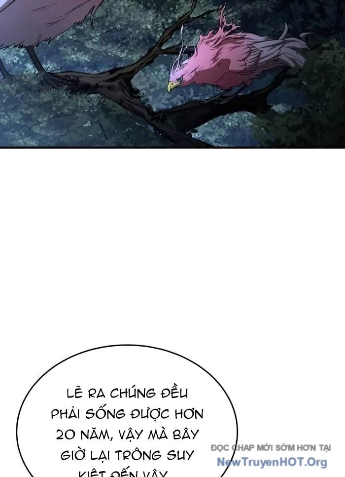 Kim Chiến Sĩ: Hành Trình Xây Dựng Đặc Tính Chap 50 - Next Chap 51