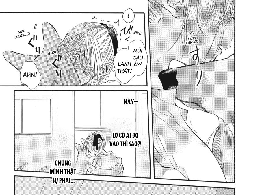 Kimi To Koete Koi Ni Naru Chap 11 - Next Chap 12