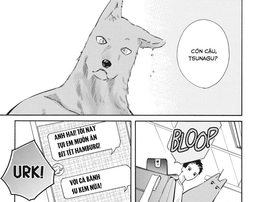 Kimi To Koete Koi Ni Naru Chap 12 - Next Chap 13