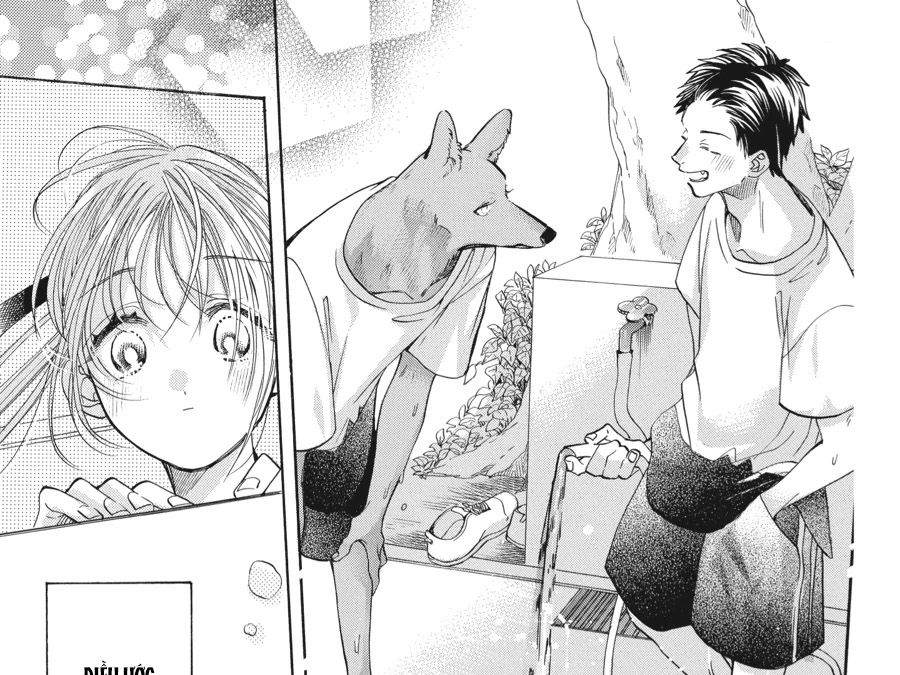 Kimi To Koete Koi Ni Naru Chap 12 - Next Chap 13