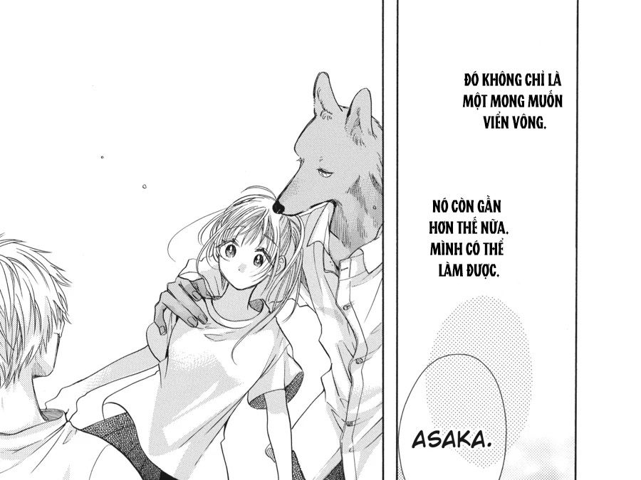 Kimi To Koete Koi Ni Naru Chap 12 - Next Chap 13