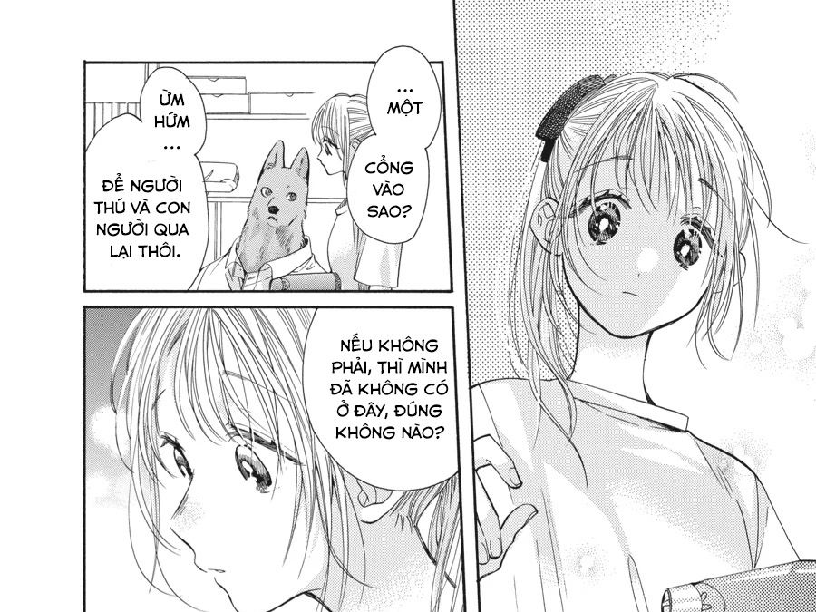 Kimi To Koete Koi Ni Naru Chap 12 - Next Chap 13