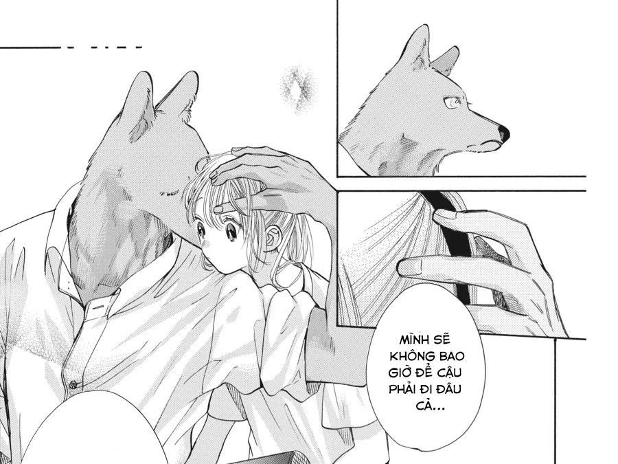 Kimi To Koete Koi Ni Naru Chap 12 - Next Chap 13