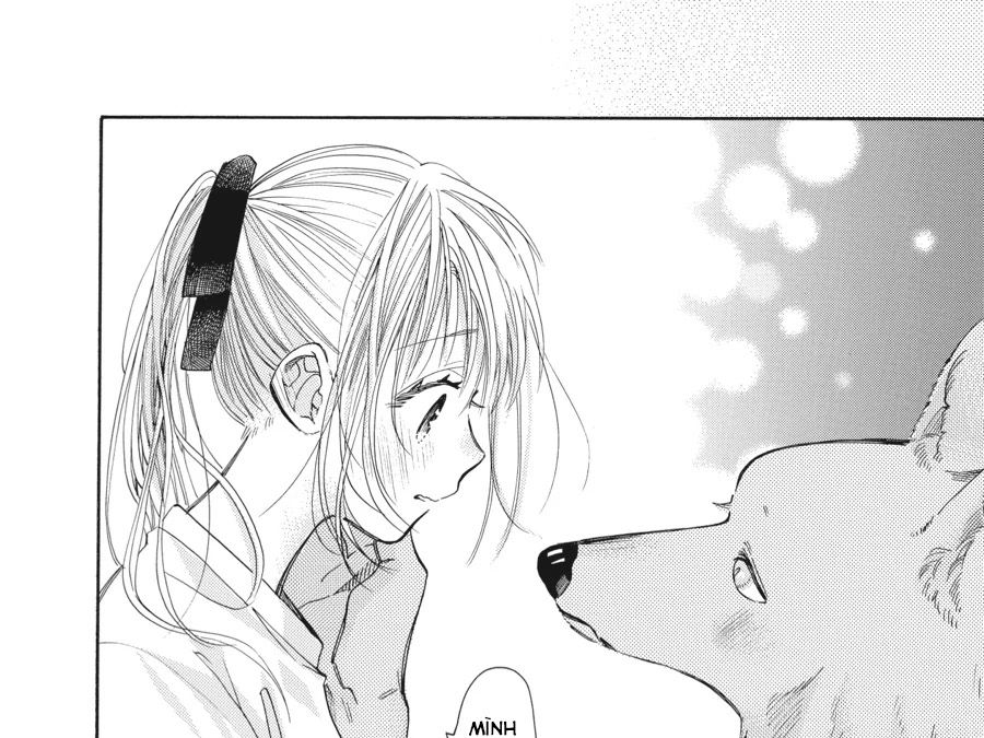 Kimi To Koete Koi Ni Naru Chap 12 - Next Chap 13