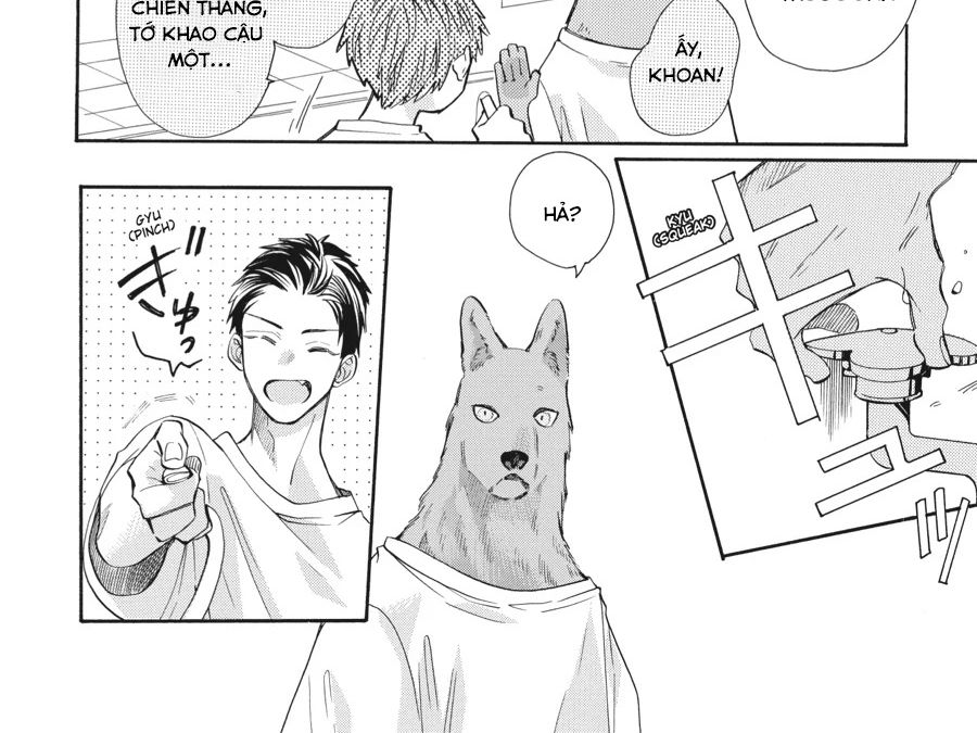 Kimi To Koete Koi Ni Naru Chap 12 - Next Chap 13