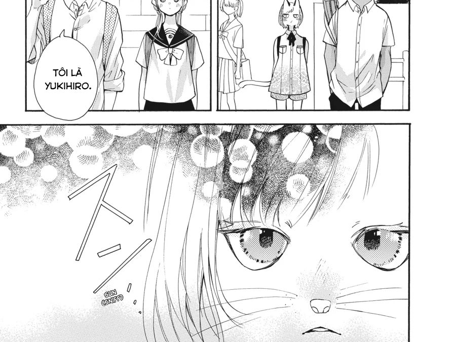 Kimi To Koete Koi Ni Naru Chap 13 - Next Chap 14