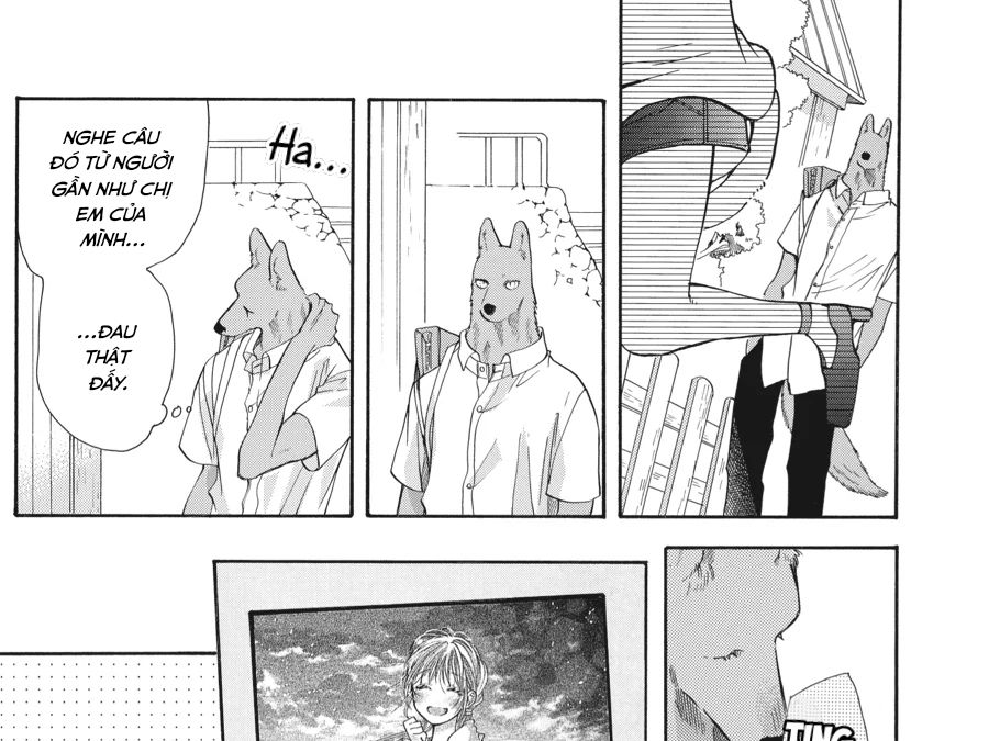 Kimi To Koete Koi Ni Naru Chap 13 - Next Chap 14