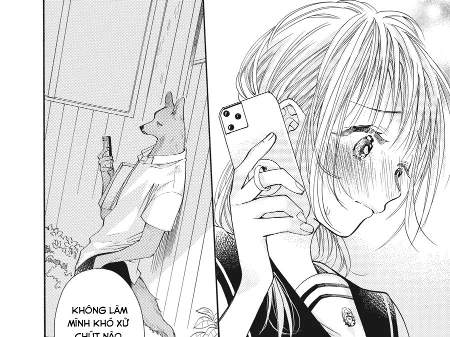 Kimi To Koete Koi Ni Naru Chap 13 - Next Chap 14