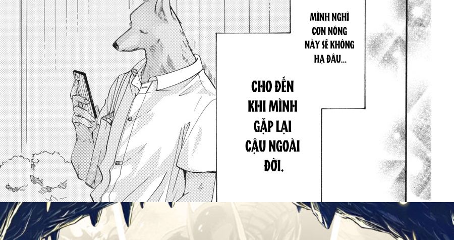 Kimi To Koete Koi Ni Naru Chap 13 - Next Chap 14