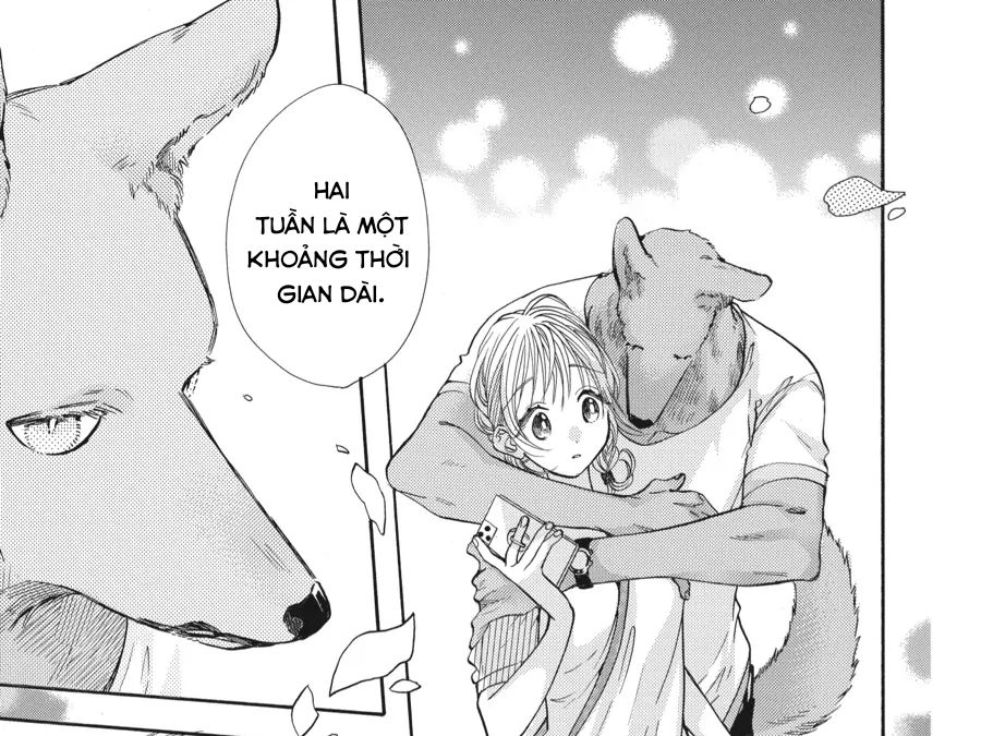 Kimi To Koete Koi Ni Naru Chap 14 - Next Chap 15