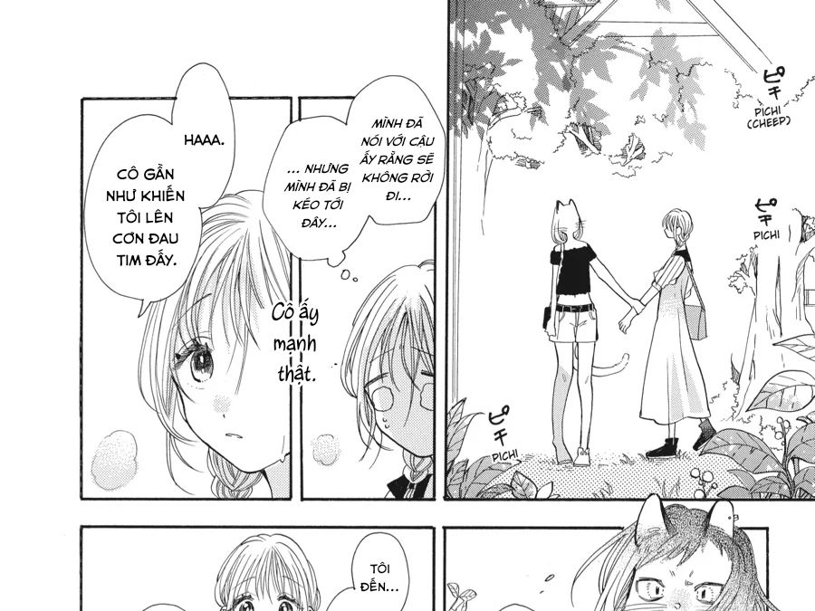 Kimi To Koete Koi Ni Naru Chap 14 - Next Chap 15