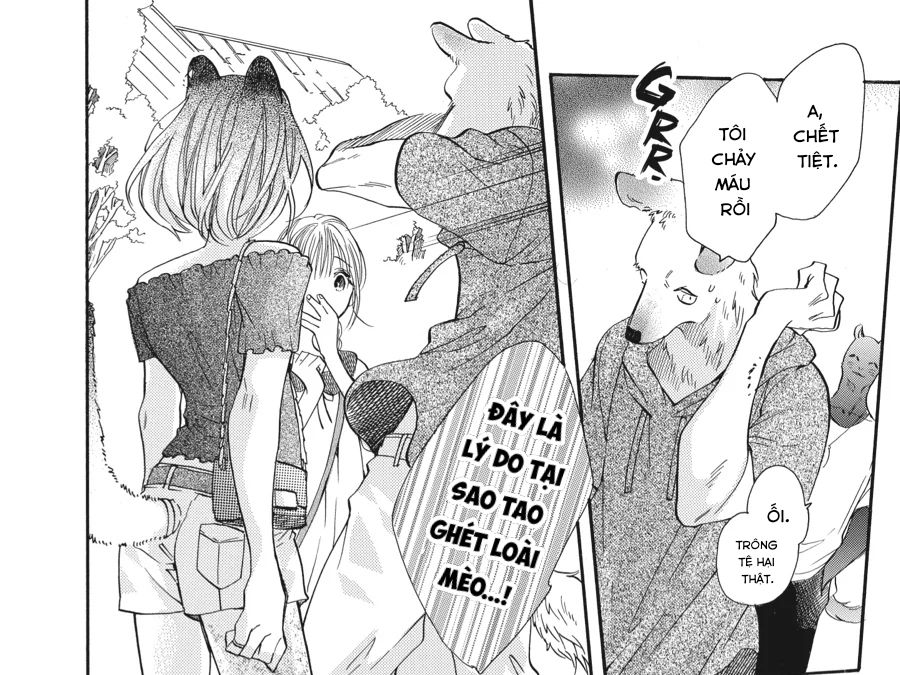 Kimi To Koete Koi Ni Naru Chap 14 - Next Chap 15