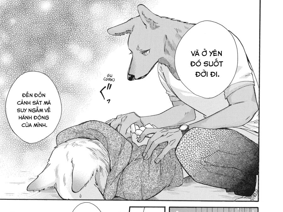 Kimi To Koete Koi Ni Naru Chap 14 - Next Chap 15