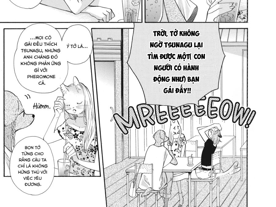 Kimi To Koete Koi Ni Naru Chap 14 - Next Chap 15