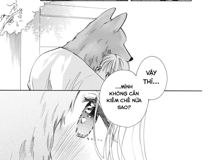 Kimi To Koete Koi Ni Naru Chap 15 - Next Chap 16