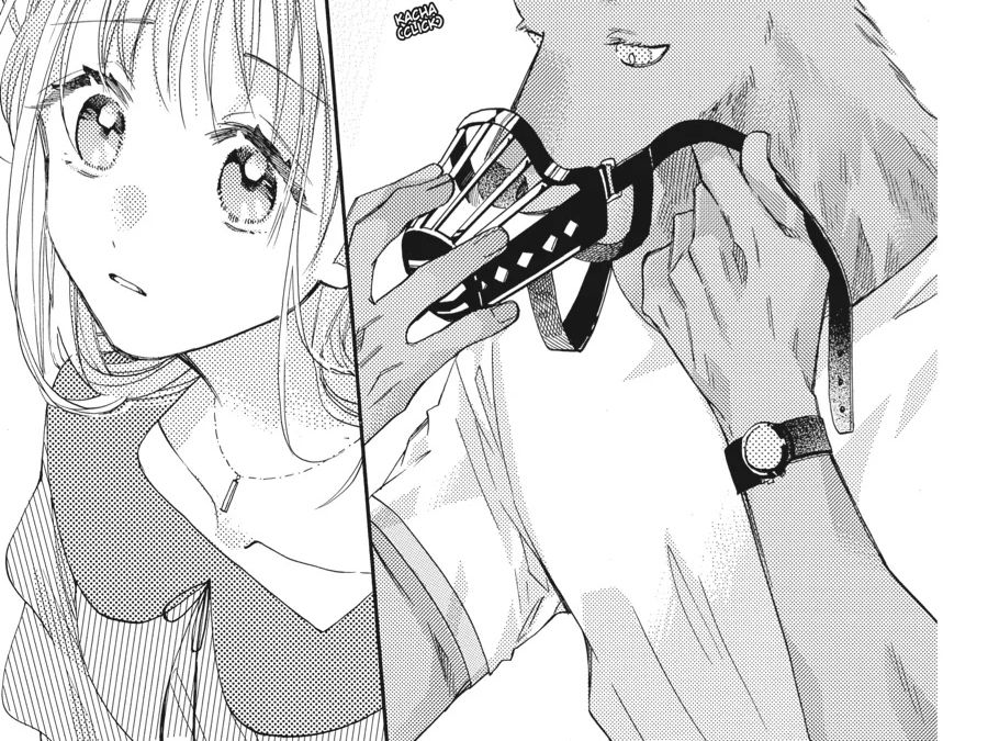 Kimi To Koete Koi Ni Naru Chap 15 - Next Chap 16