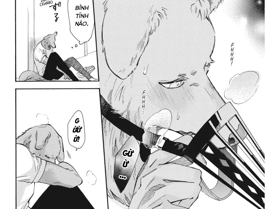 Kimi To Koete Koi Ni Naru Chap 16 - Next Chap 17