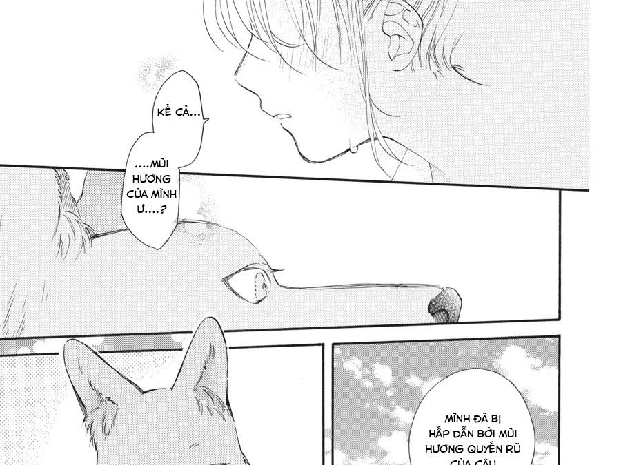 Kimi To Koete Koi Ni Naru Chap 17 - Next Chap 18