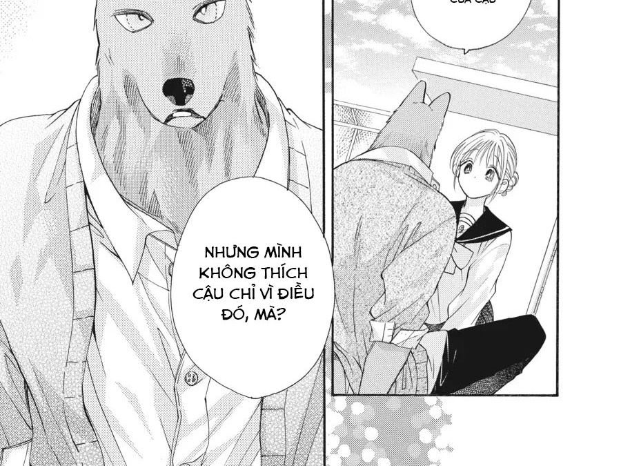 Kimi To Koete Koi Ni Naru Chap 17 - Next Chap 18