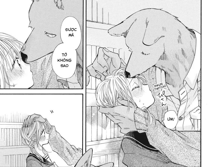 Kimi To Koete Koi Ni Naru Chap 17 - Next Chap 18