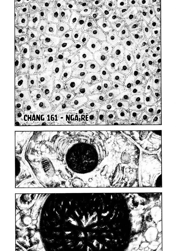 Kokou No Hito Chap 161 - Next Chap 162