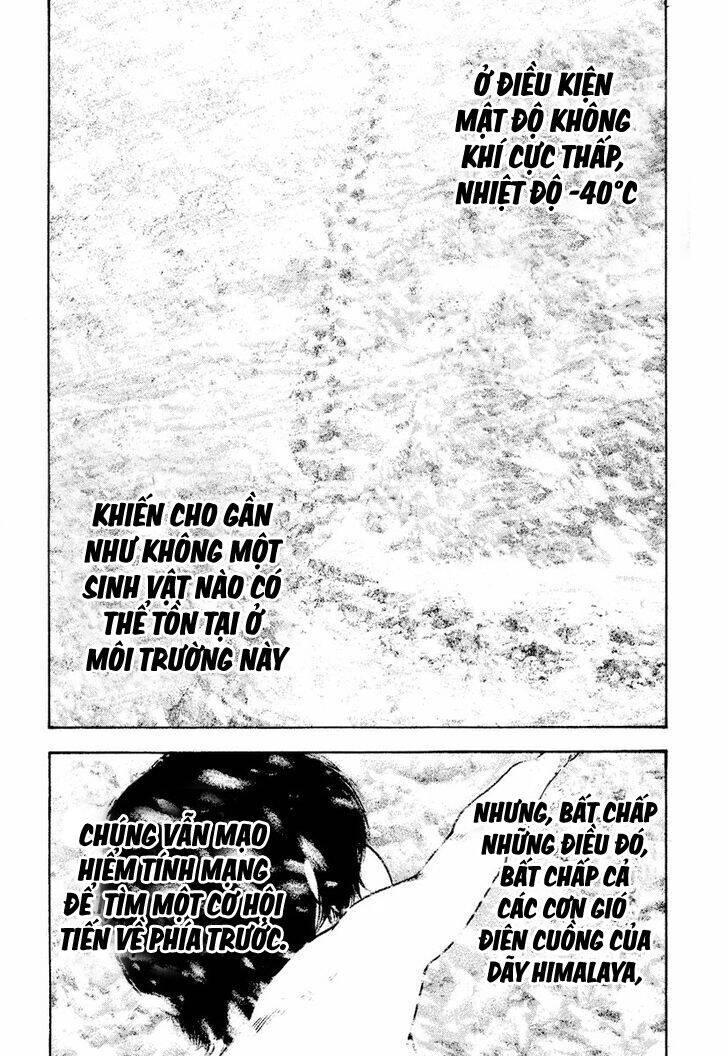 Kokou No Hito Chap 168 - Next Chap 169