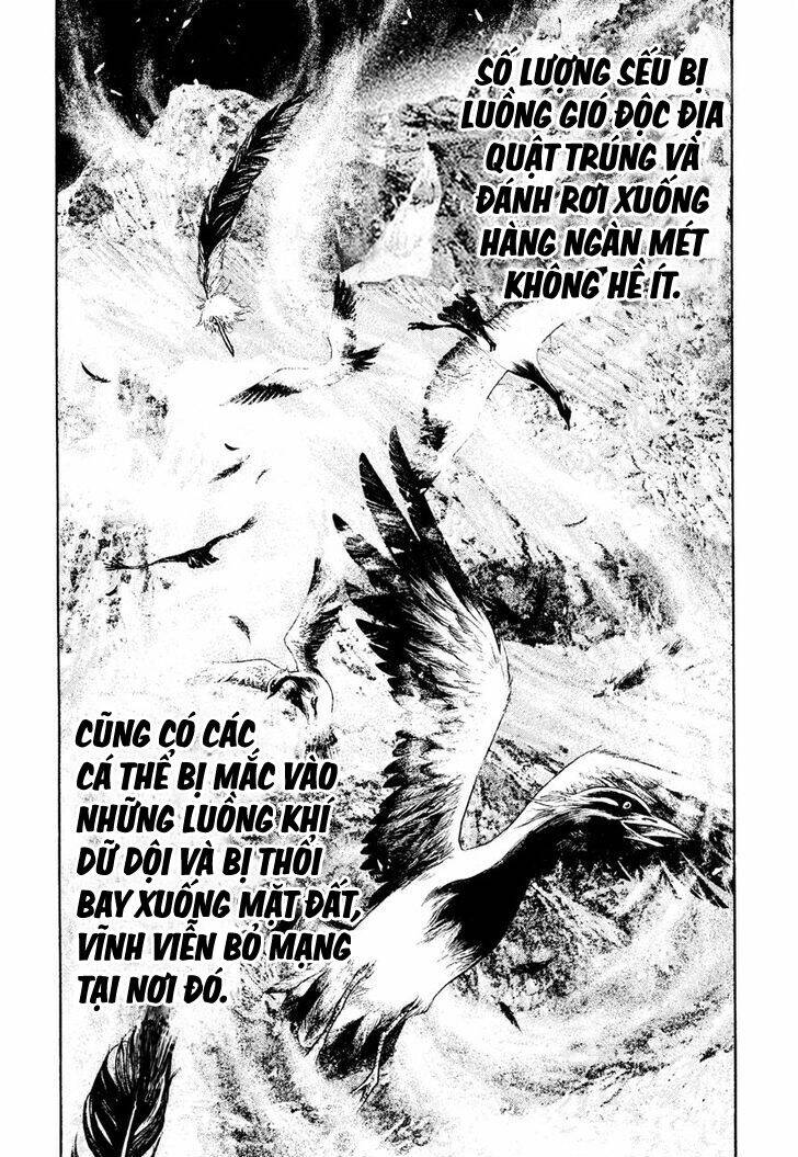 Kokou No Hito Chap 168 - Next Chap 169