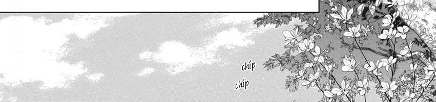 Kokuyou No Hanayome Chap 12 - Next Chap 13