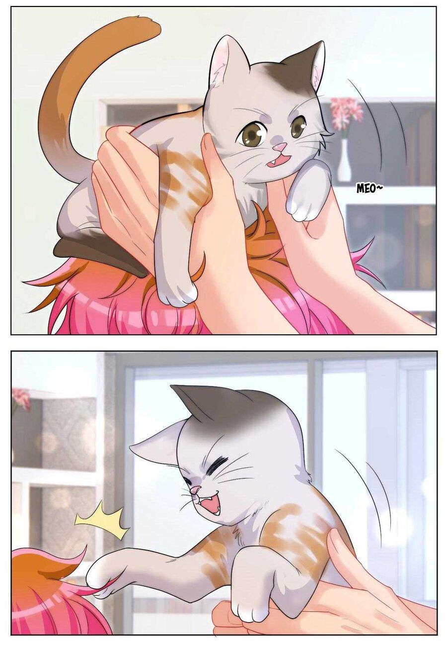 Ký Túc Xá Nam Phòng 303 Chap 249 - Next Chap 250