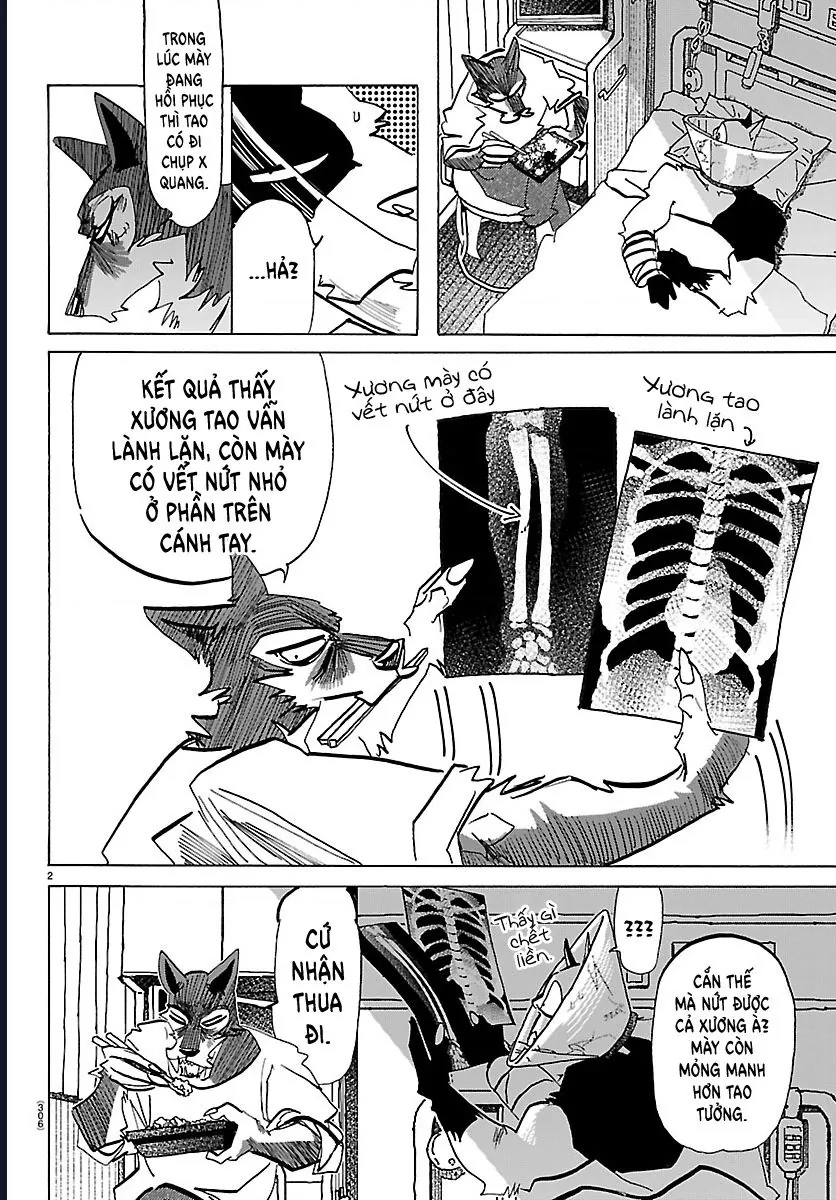 Lý Trí Của Taika Chap 48 - Next Chap 49